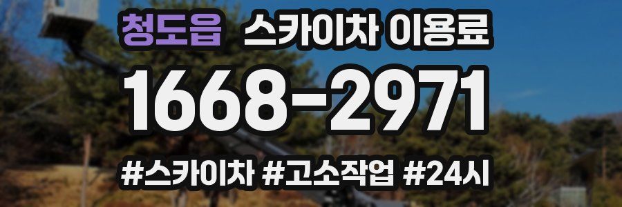 청도읍 스카이차 이용료