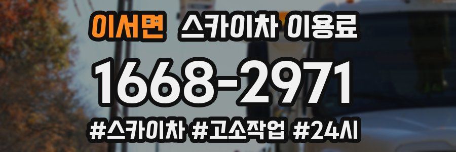 이서면 스카이차 이용료
