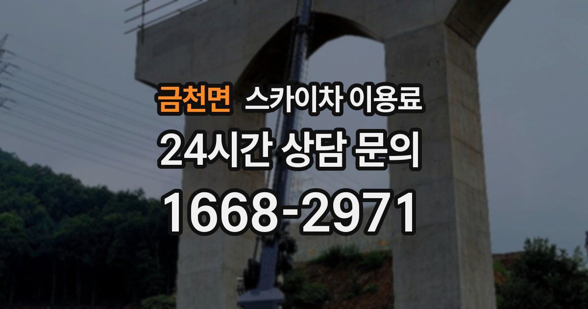금천면 스카이차 이용료