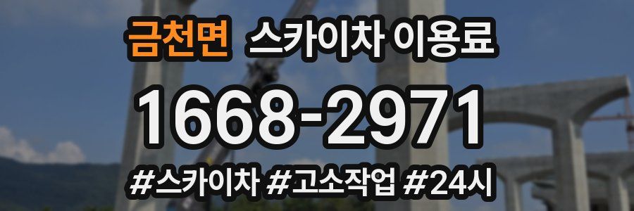 금천면 스카이차 이용료