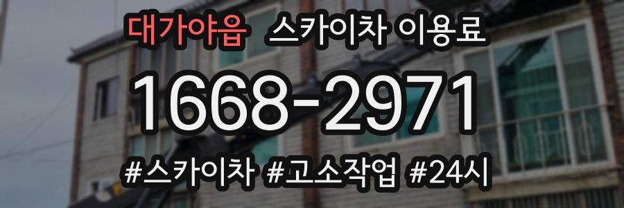 대가야읍 스카이차 이용료