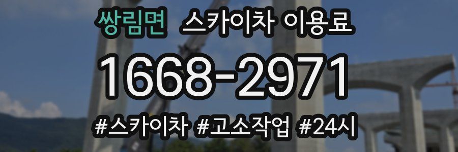 쌍림면 스카이차 이용료