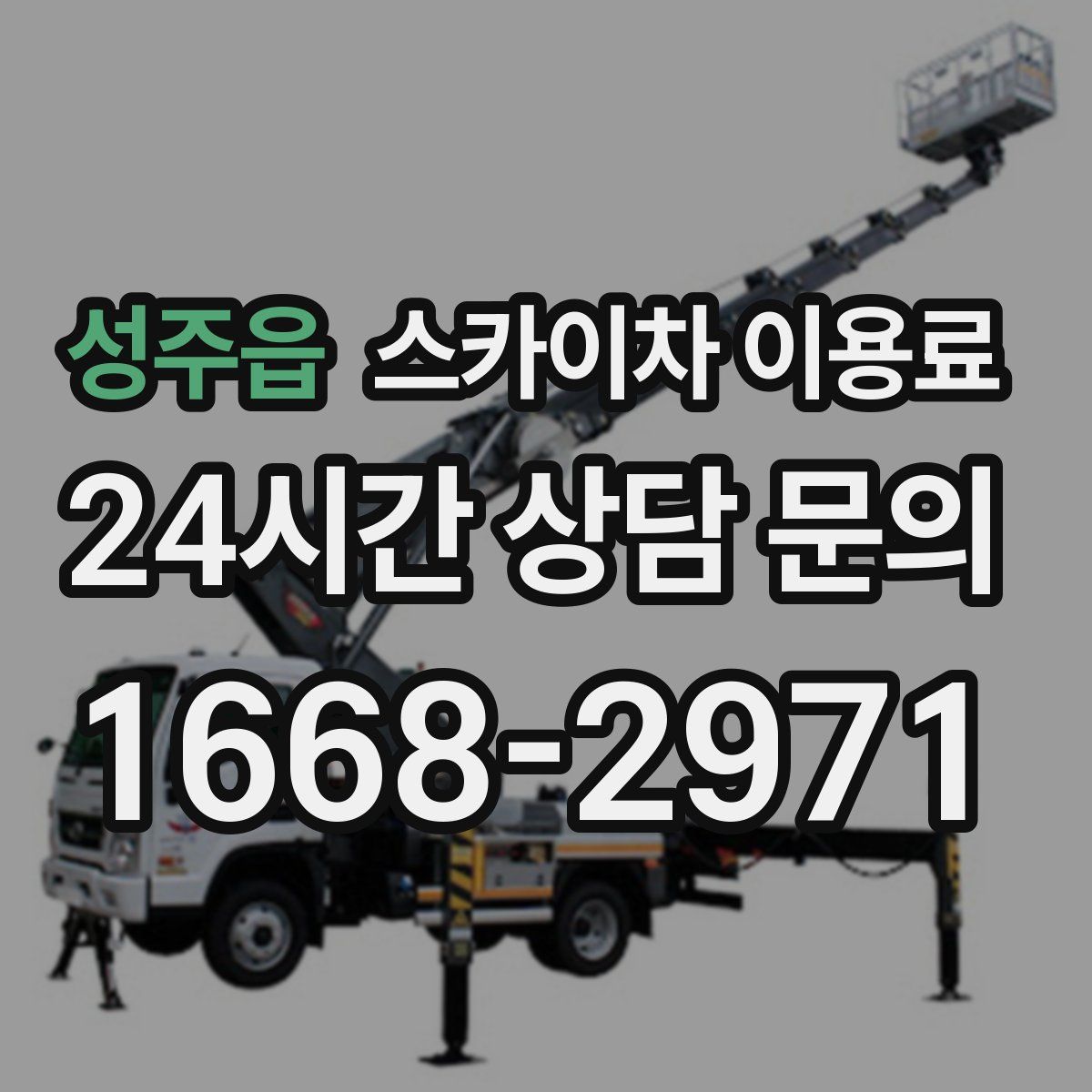 성주읍 스카이차 이용료