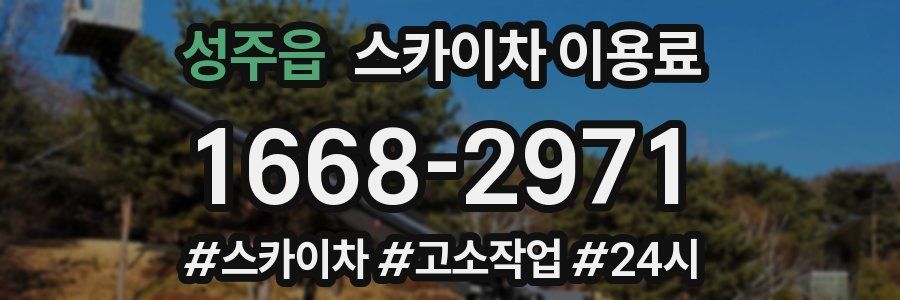 성주읍 스카이차 이용료