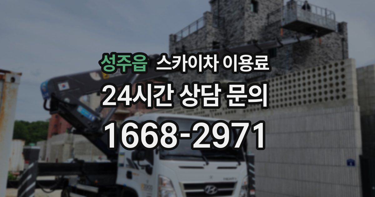 성주읍 스카이차 이용료