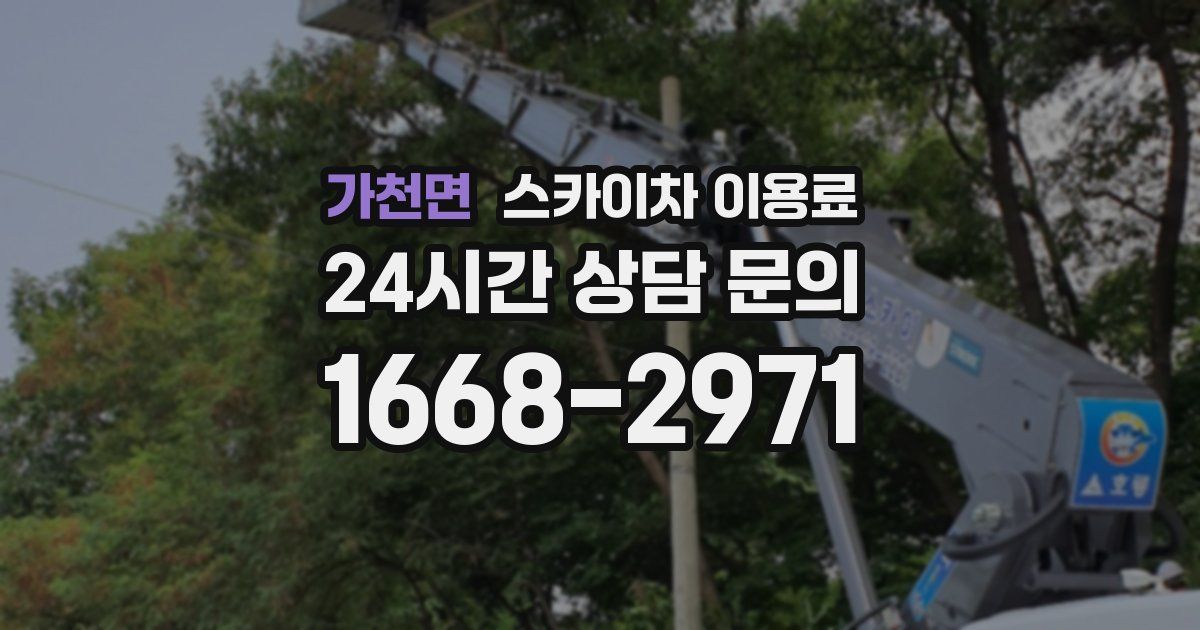 가천면 스카이차 이용료