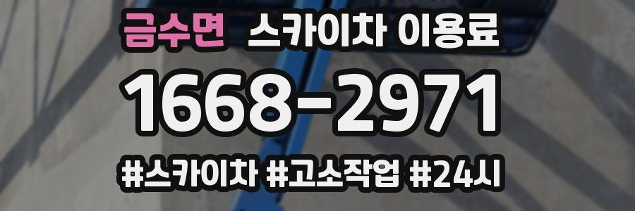 금수면 스카이차 이용료