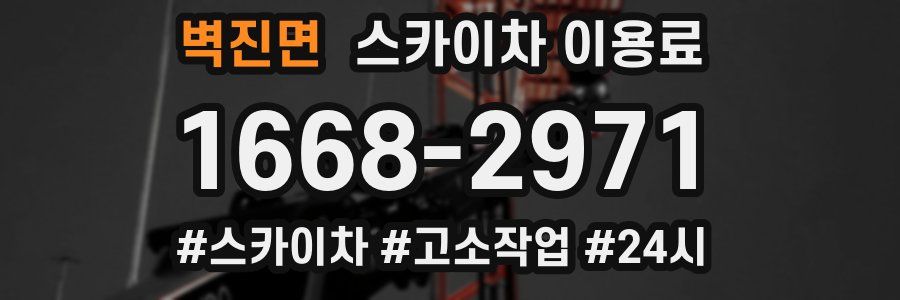 벽진면 스카이차 이용료