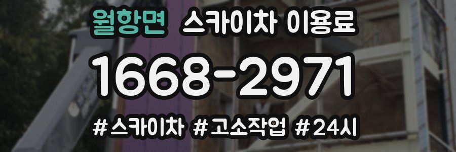 월항면 스카이차 이용료