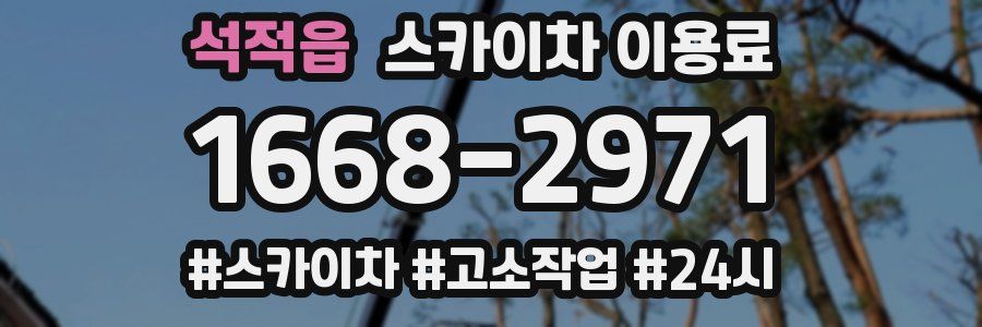 석적읍 스카이차 이용료