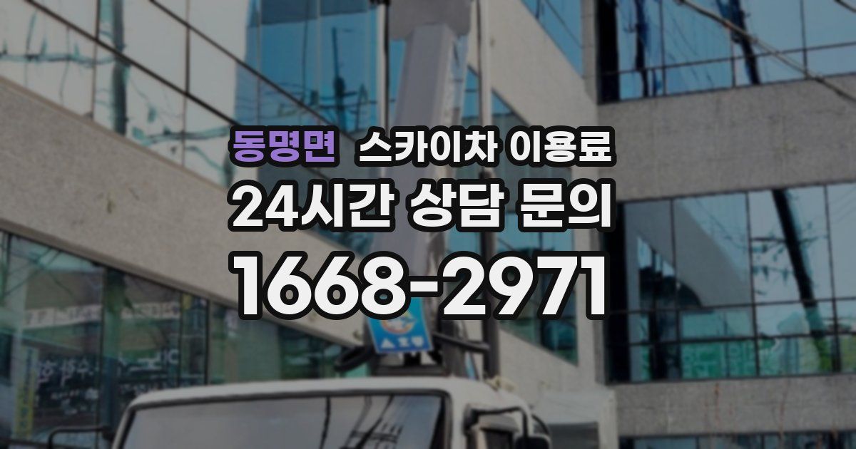 동명면 스카이차 이용료