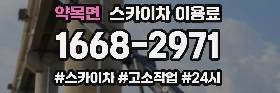 약목면 스카이차 이용료