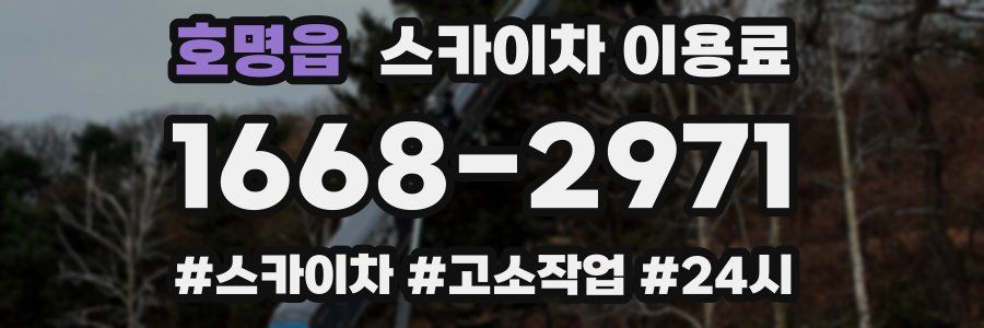 호명읍 스카이차 이용료