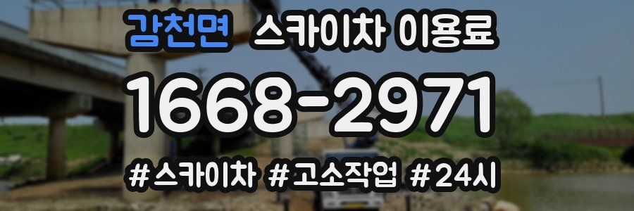 감천면 스카이차 이용료