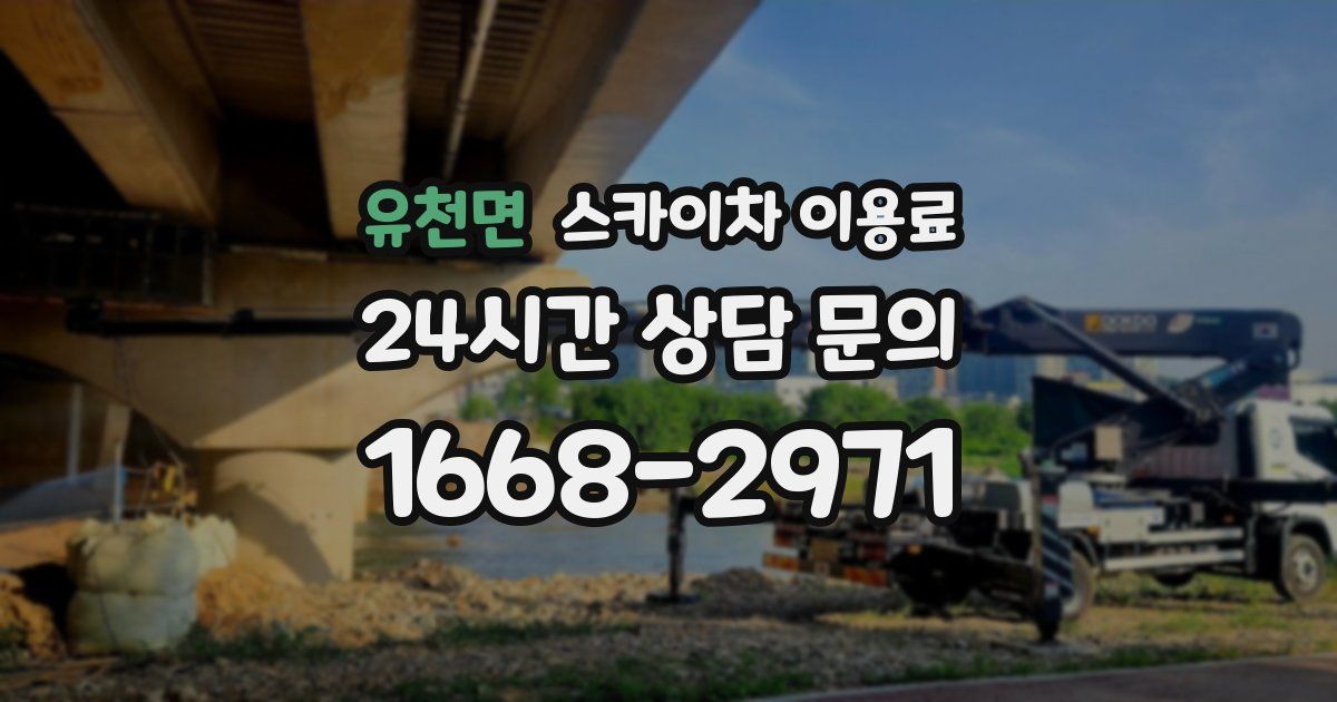 유천면 스카이차 이용료