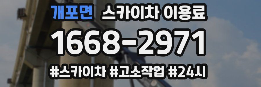 개포면 스카이차 이용료