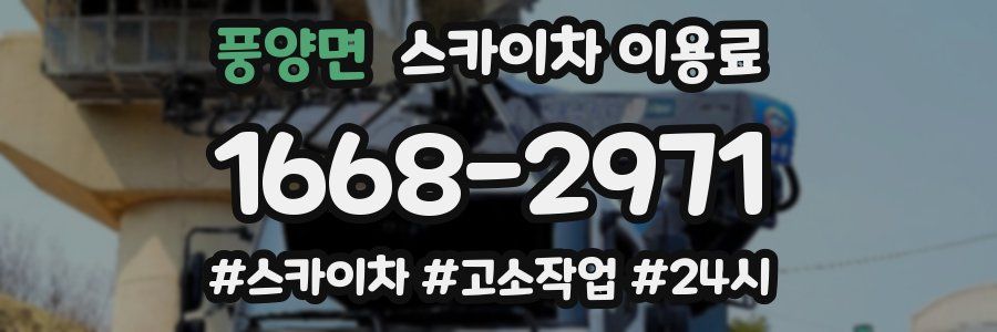 풍양면 스카이차 이용료