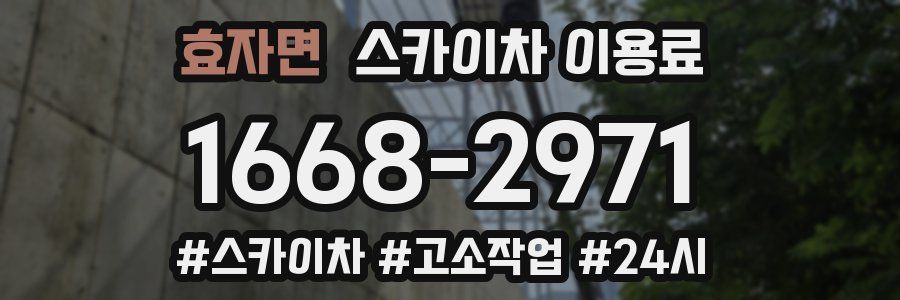 효자면 스카이차 이용료