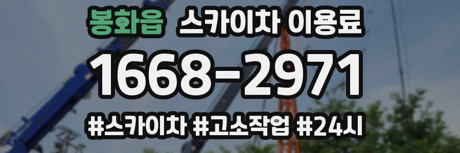 봉화읍 스카이차 이용료