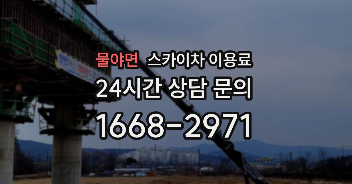 물야면 스카이차 이용료