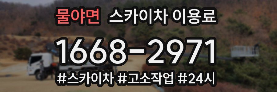 물야면 스카이차 이용료