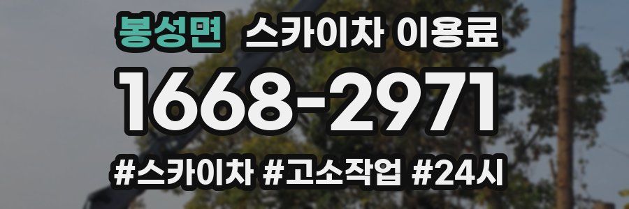 봉성면 스카이차 이용료