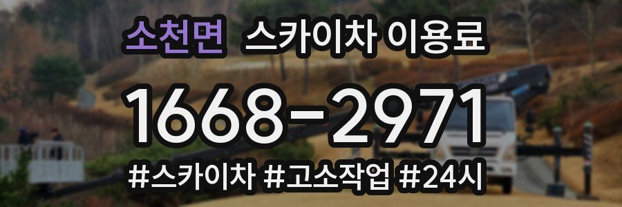 소천면 스카이차 이용료