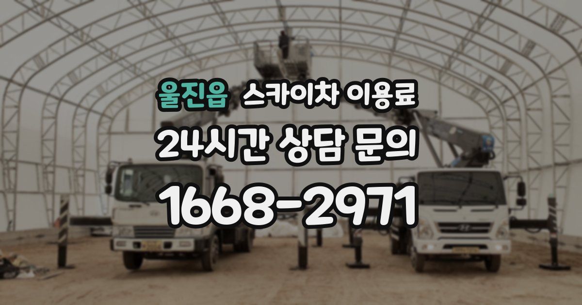 울진읍 스카이차 이용료