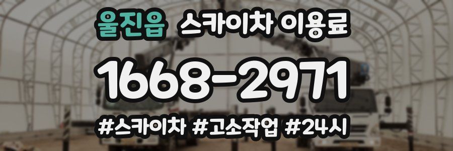 울진읍 스카이차 이용료