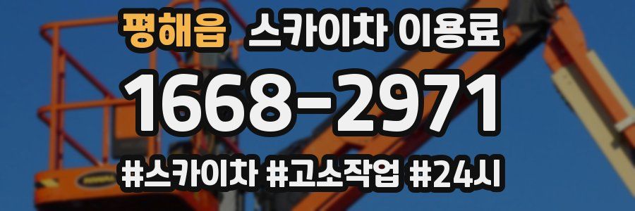 평해읍 스카이차 이용료