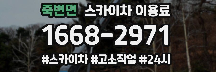 죽변면 스카이차 이용료