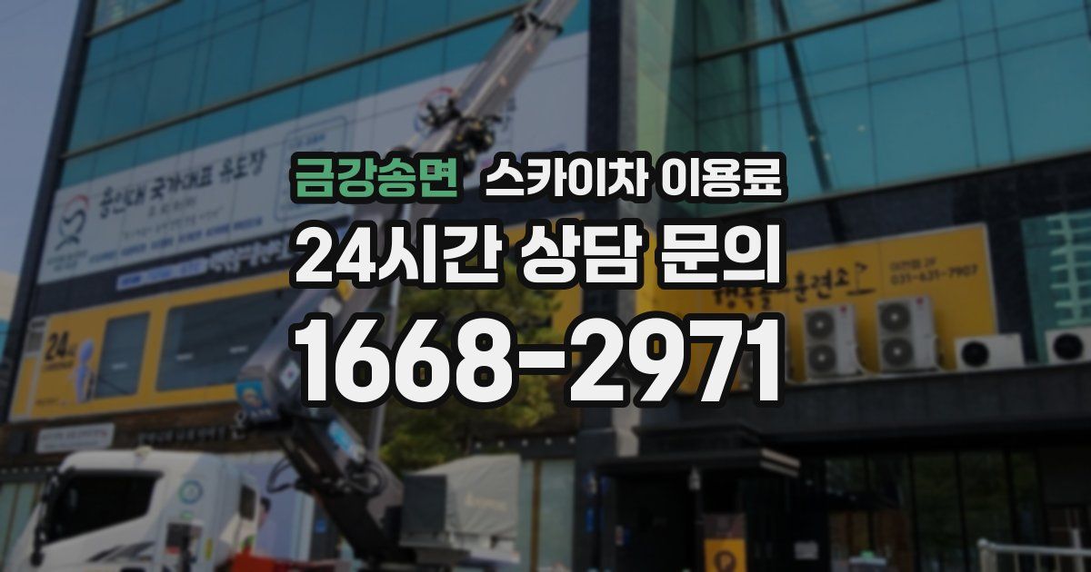 금강송면 스카이차 이용료