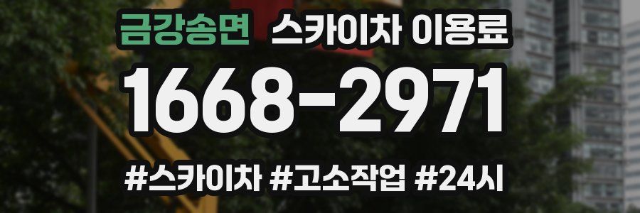 금강송면 스카이차 이용료