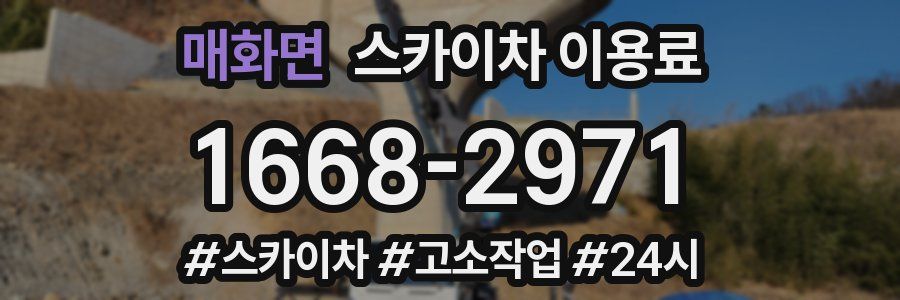 매화면 스카이차 이용료