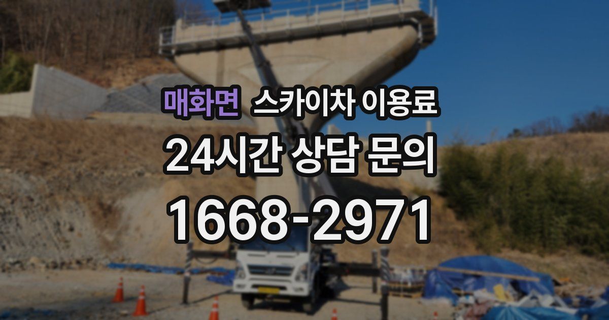 매화면 스카이차 이용료