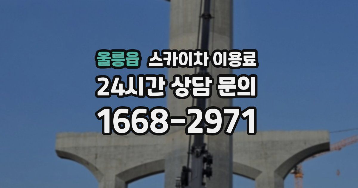 울릉읍 스카이차 이용료