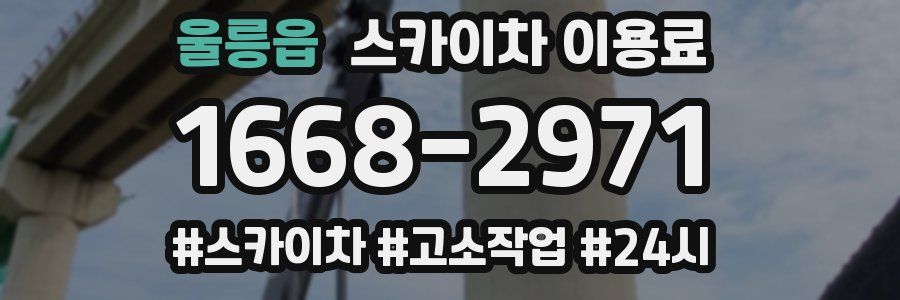 울릉읍 스카이차 이용료