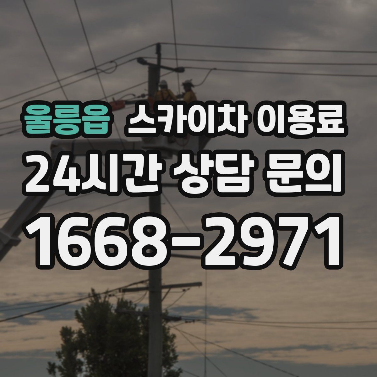 울릉읍 스카이차 이용료