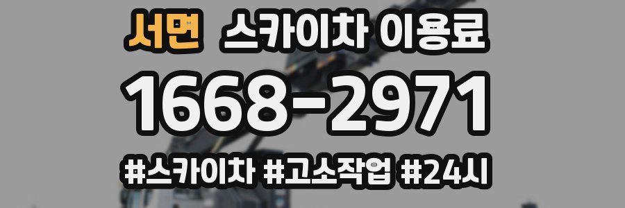 서면 스카이차 이용료