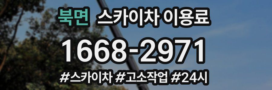 북면 스카이차 이용료