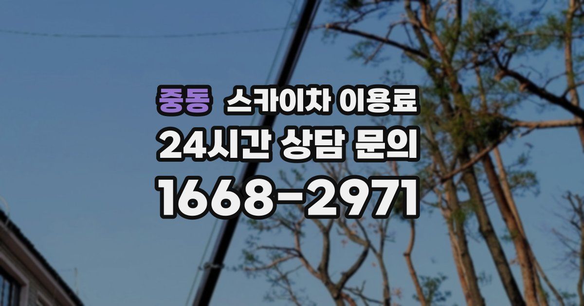 중동 스카이차 이용료