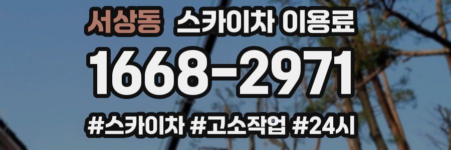 서상동 스카이차 이용료