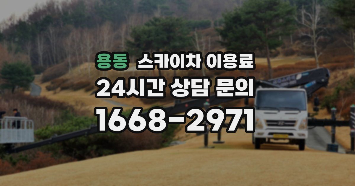 용동 스카이차 이용료