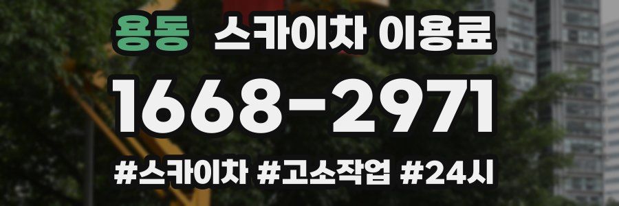 용동 스카이차 이용료