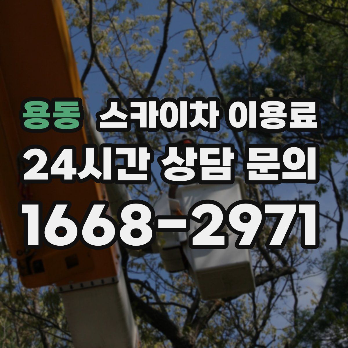 용동 스카이차 이용료