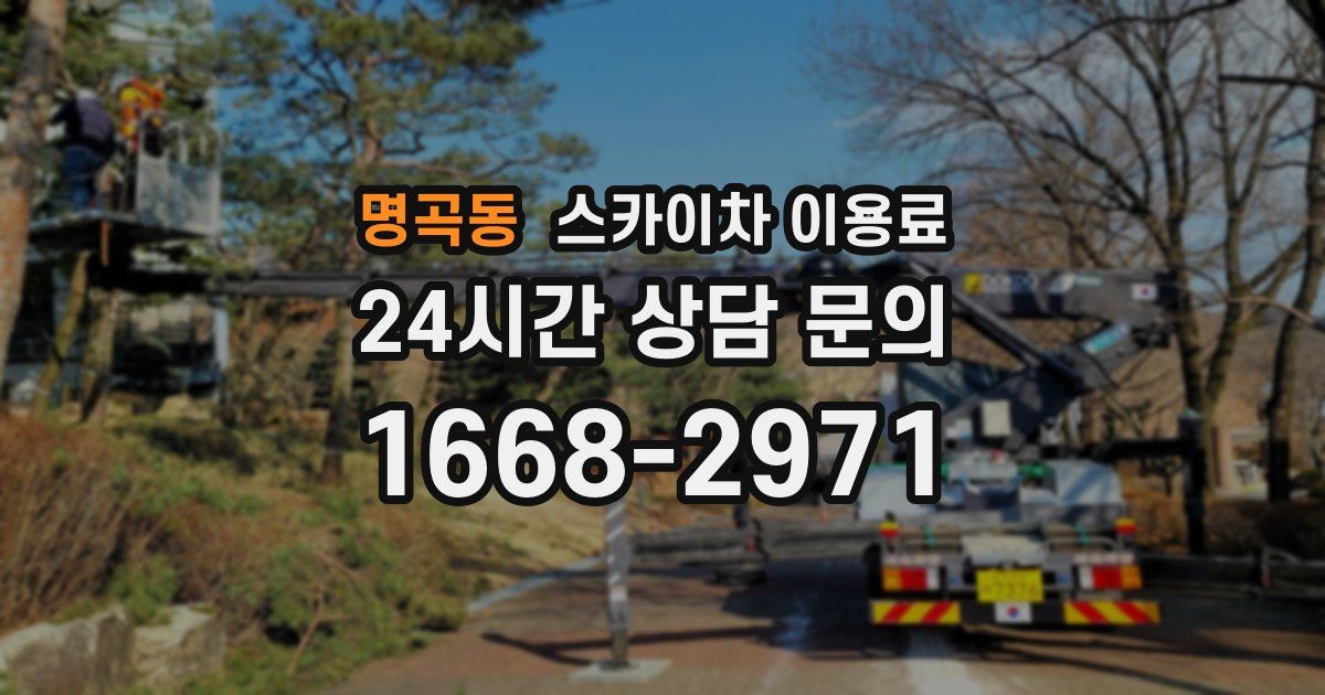 명곡동 스카이차 이용료