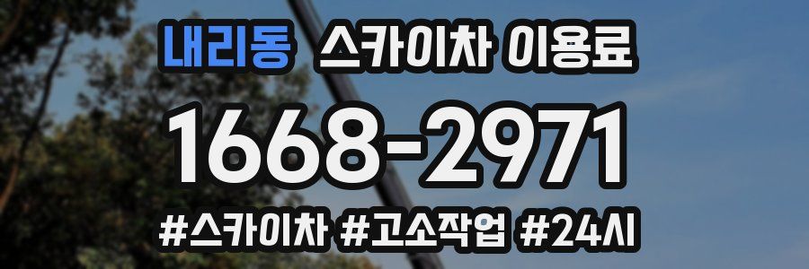 내리동 스카이차 이용료