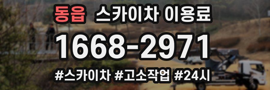 동읍 스카이차 이용료