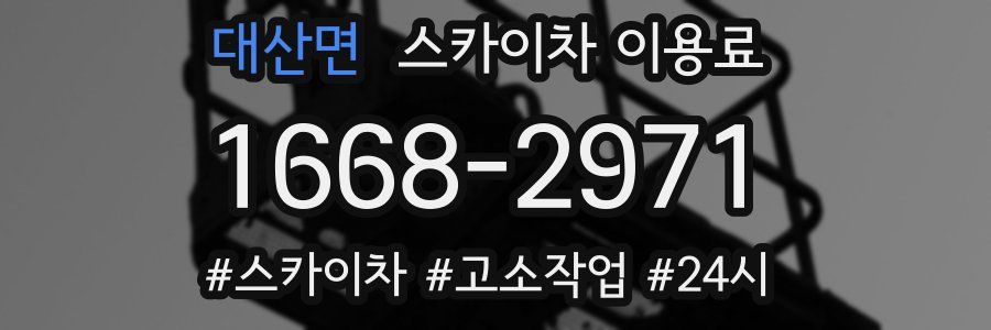 대산면 스카이차 이용료