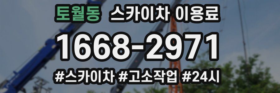 토월동 스카이차 이용료